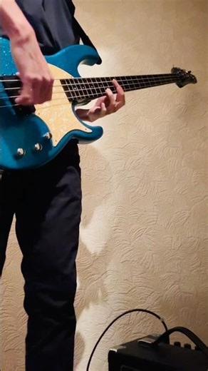 Red Hot Chili Peppers "Hard to Concentrate" #Modulus #Bass