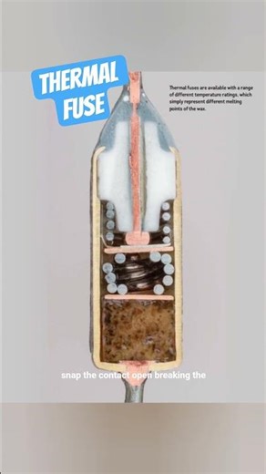 How thermal Fuses work #education #experiment #electricalcomponent