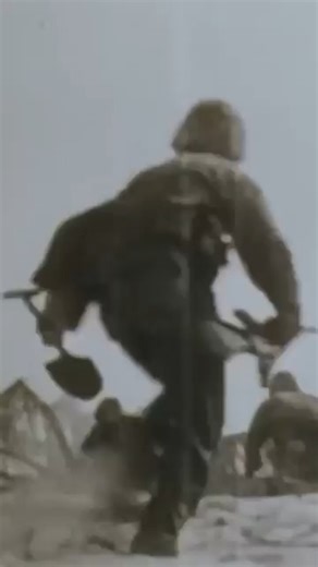 890K views · 12K reactions | How We Dealt With a Japanese Sniper on Tarawa #history #veteranshermans #veteran #marines #army | American Veterans Center | Facebook