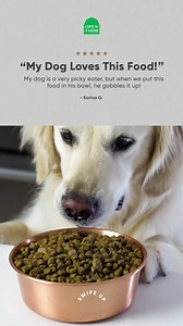 Dog food done better. | Open Farm