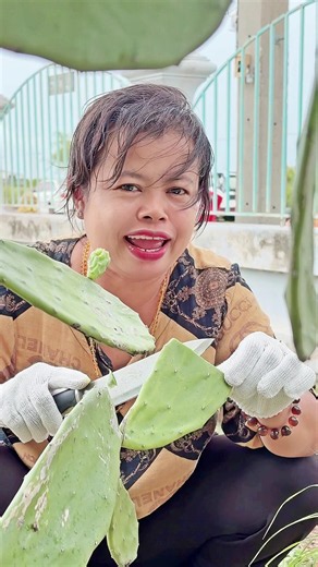 စားချင်တဲ့ချစ်တို့အတွက် လာခူးပေးတာပါရှင့်#တစ်စောင်းလက်ဝါးပင်စားကျမယ်#maylatyar#maylatyarl🖤tiktok#myanmartiktok#ရောက်ချင်တဲ့နေရာရောက်👌