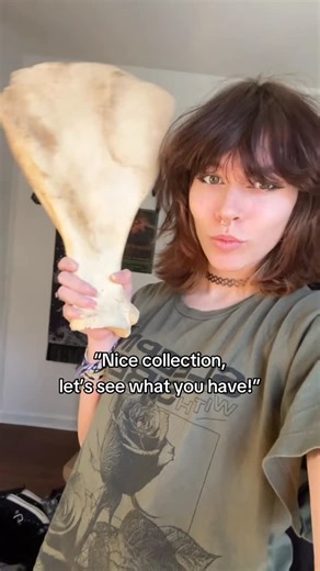 Z E R O on Instagram: "I can’t wait to go through and give all of these the touch-ups they deserve (cleaning, yay!) But luckily, I find a lot of neat deer! Common Questions and Answers! Q: Where/How do you get all these?! A: I find most of mine! Mostly walking through the woods, near water, in fields, or along roadsides. Others are gifted to me! Q: How do I clean them?? A: I usually use maceration (bucket method. Just water and bones with tissue, let bacteria do the work, NO SOAP OR ANYTHING), t