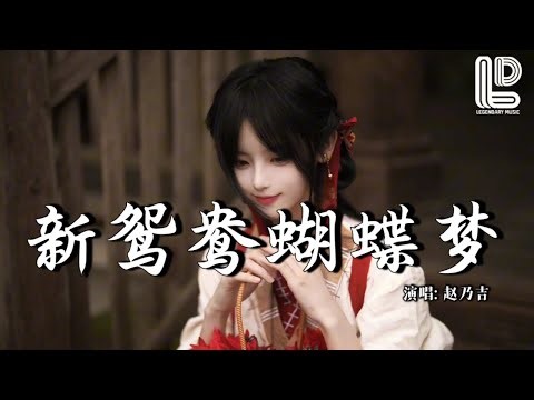 赵乃吉 - 新鸳鸯蝴蝶梦 (抖音热播DJ版) Xin Yuan Yang Hu Die Meng『昨日像那东流水离我远去不可留，今日乱我心多烦忧』抖音版｜ 热门爆火版『动态歌词MV』