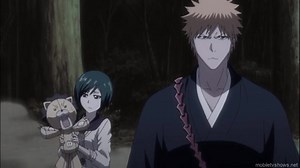 Bleach episode 323 English dubbed | Ichigo