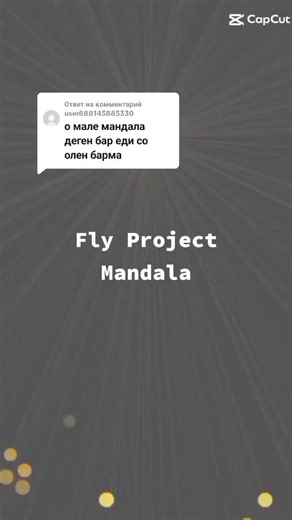 Fly Project Mandala Song Explained
