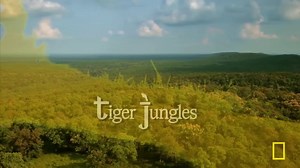 Sir David Attenborough - Tiger Jungles - Secrets of Wild India - Full Documentary