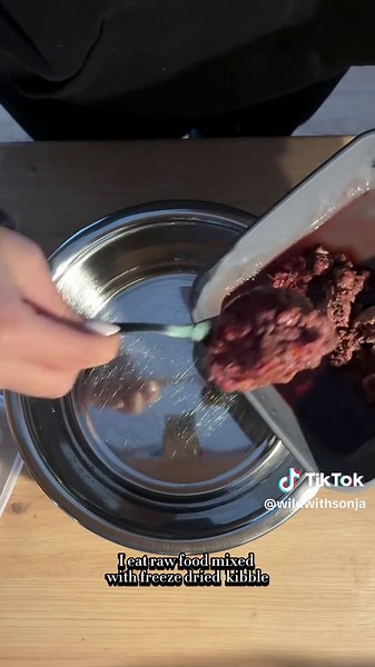 Come spend the morning with me🩷 @Non-stop dogwear #nonstopdogwear #morningvlog #dog #mixedbreeddog