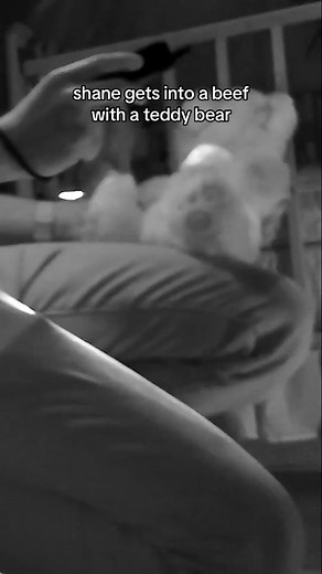 Shane's Encounter: The Ghost Files