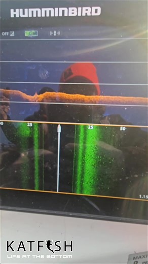 How to catch catfish bait with a net | KATFISH-Clothing