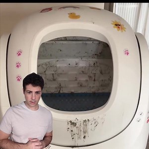 294 reactions · 20 shares | Take cat litter box to the next level...