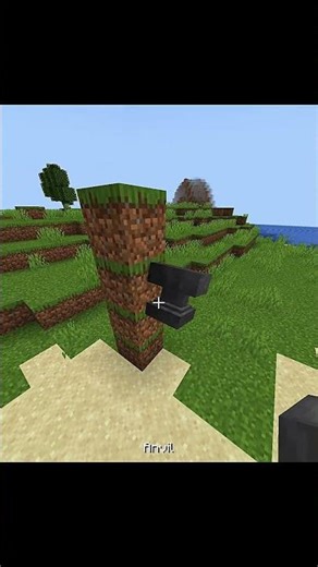 Invincible in Minecraft 🫨🫨🫨