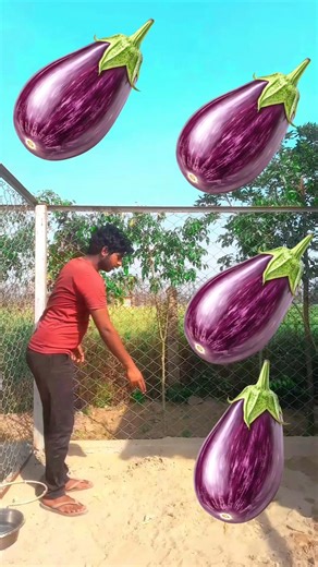 "Birds का ये राज़ जानकर दंग रह जाओगे!"