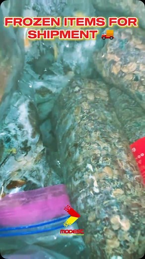 Keeping it fresh from farm to table! 🌟 Our refrigerated logistics services ensure your frozen foods arrive in perfect condition, every time. ❄️ Trust us to handle your temperature-controlled shipments with precision and care. 🚚 #FrozenFood #LogisticsSolutions #FreshnessGuaranteed | modestlogisticscargo