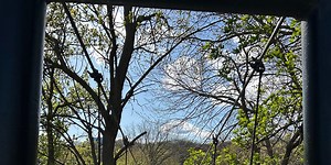 A Summary of Water/Nitrate Studies 2005-2018