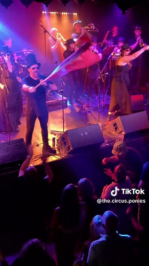 The Circus Ponies on TikTok