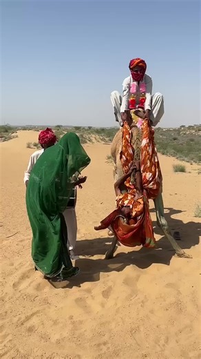 هل كانت لحظة خطيرة أم تقليد جميل؟ شاهد المشهد الذي يحبس الأنفاس! #camel #camelbaby #shorts #viralvideo #desertlife