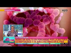 Cuáles son los síntomas del estreptococo y cómo tratarlo - Marcela Gotlib en Las rubias