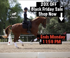 20% off Select courses Including: ✅Dressage RIder Position Masterclass ✅Suppleness and Straightness Workshop ✅Training Level Dressage ✅First Level Dressage ✅and More! You won't want to miss out on this "dark horse" of a deal!🧨 Grab a gift for you and for a friend too!🎁 https://www.ameliasdressageacademy.com/blackfriday/ | Amelia Newcomb Dressage