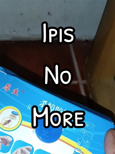 Effective Strategies for Cockroach Removal