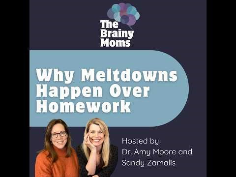 Why Meltdowns Happen Over Homework | Dr. Amy and Sandy