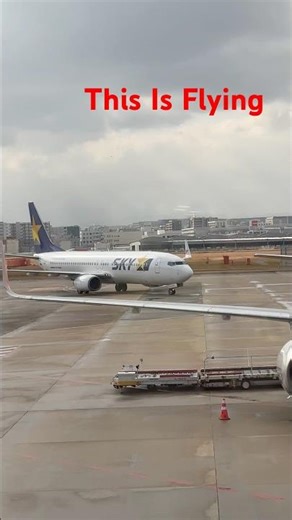 How Planes Fly #aviationfacts #howplaneswork #flightfacts #scienceofflight