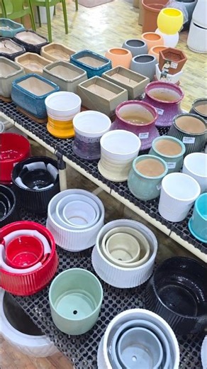 Indra Gardens, Chennai-We have a wide range of Imported Ceramic Pots in different colours and sizes.