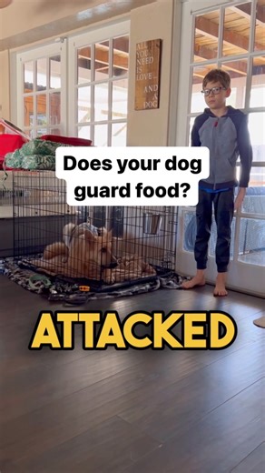 15K views · 106 reactions | Resource guarding is an issue SO many...