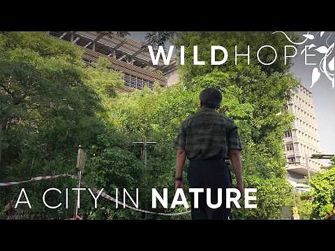 How Singapore’s Urban Design Makes Way for Wildlife | WILD HOPE