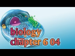 biology chapter 6 04