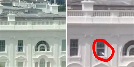 White House explains baffling clip of figure throwing items out of building's window