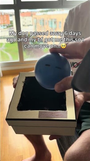 Share this if you love your dog 🐾⬇️ #dog #dogsofttiktok #dogloss #giftideas #pets