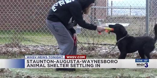 Staunton Augusta Waynesboro animal shelter settles in to new location
