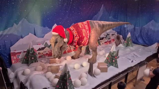 Natural History Museum creates giant Christmas jumper for its T. Rex