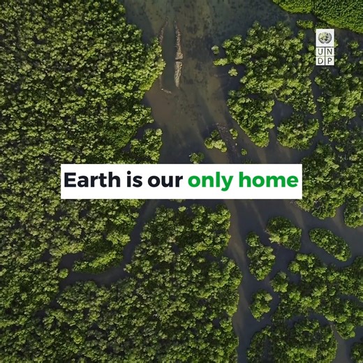 UN Development Programme | The #NewYear presents new opportunities to make a difference. In 2026, here are 10 ways we can take #ClimateAction and help build a greener 🌎. | Instagram