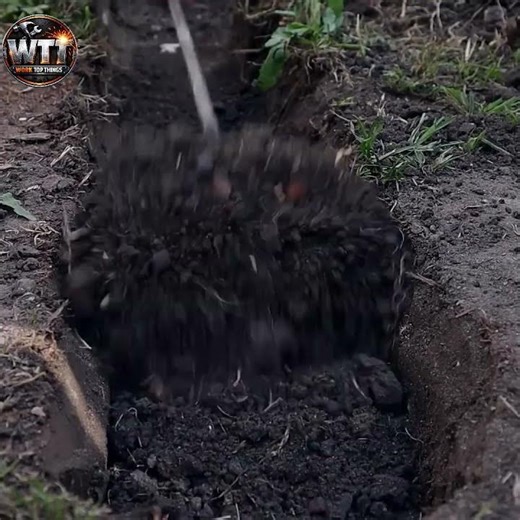 Forging a SECRET CANE SWORD out of a Rusted COIL SPRING