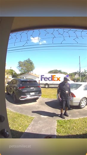 Funny Cat Moments That Will Make You Smile