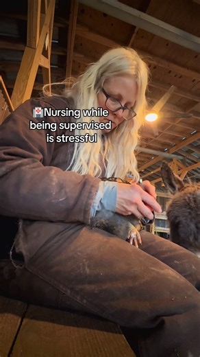 Caring for My Chicken with Bumblefoot: A Step-by-Step Guide
