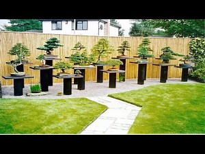 TOP! 80+ ARTISTIC BONSAI GARDEN DESIGNS | HOW TO SET UP YOUR OWN BEAUTIFUL BONSAI GARDEN IDEAS