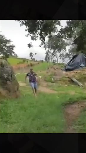 Exploring the Future of Smart Bots and AI Trends