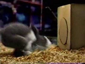 CARL & RAY BLOCKBUSTER VIDEO COMMERCIALS