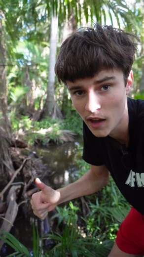Catching Aquarium Fish Using Dog Food Techniques