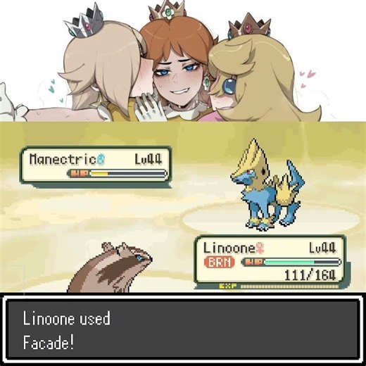 The team is very strong! - Pokémon Elite Redux | 3rd Gym (Gameplay)