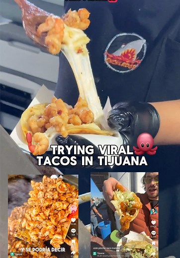 Discovering Authentic Mariscos in Tijuana