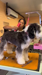 4.8K views · 139 reactions | Happy Doodle Day with @arisathegroomer! Arias uses her trusty KM Cordless Clippers to get the job done on her doodle customers . Shop KM Cordless: https://bit.ly/46LuWJD | Wahl Animal USA | Facebook