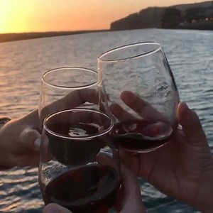 5.9K views · 13 reactions | Cheers to a memorable evening in the...