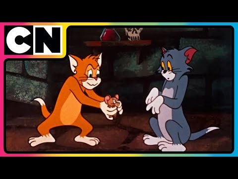 Tom & Jerry😺🐭| Pure Paw-Some Chaos!😍| Cartoon for Kids ✨| Cat & The Mouse | ‪@cnindia‬