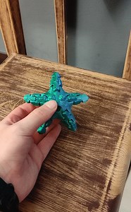 Articulated starfish
