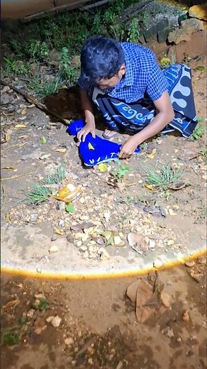 Hewan yang ditangkap keluar #nature #shortsviral