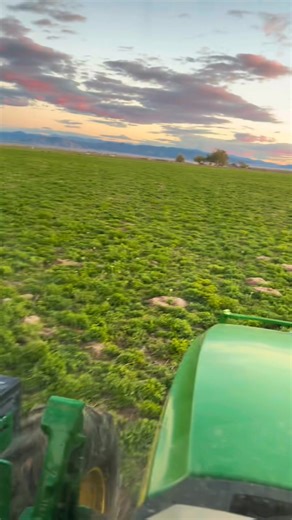 3.6K views · 23 reactions | I’m out doing some Gopher Control in southern Utah on 120 acre field and I’m seeing a lot of crows come to the all you can eat gopher buffet. | Utah Gopher Control | Facebook