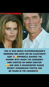 The Animal Atlas on Reels